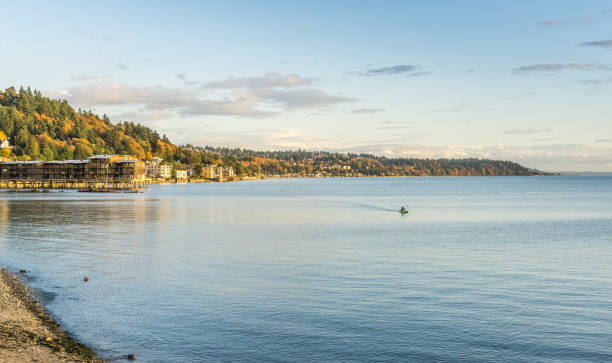 istock Autumn Colors Over Shoreline 2 1196708059