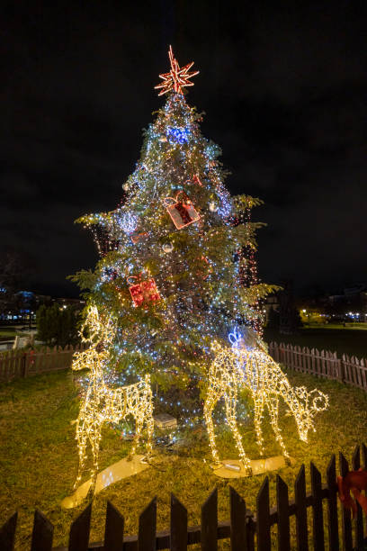 istock Two deers in front of Christmas tree with lights glowing 1196708852