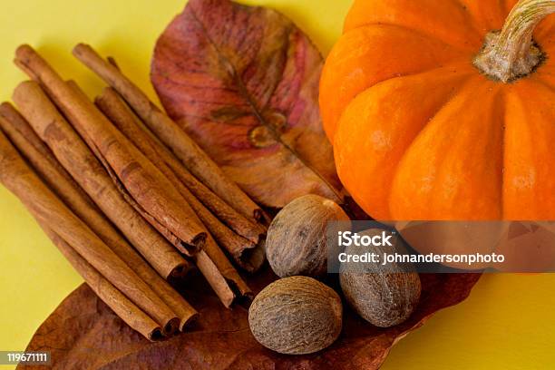Ingredients For Making Pumpkin Spice Stock Photo - Download Image Now - Pumpkin Pie Spice, Autumn, Cinnamon