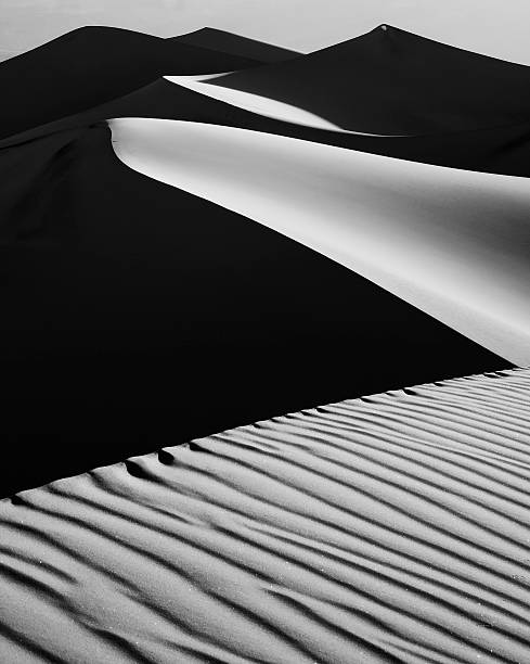 Mesquite Dunes at Dawn stock photo