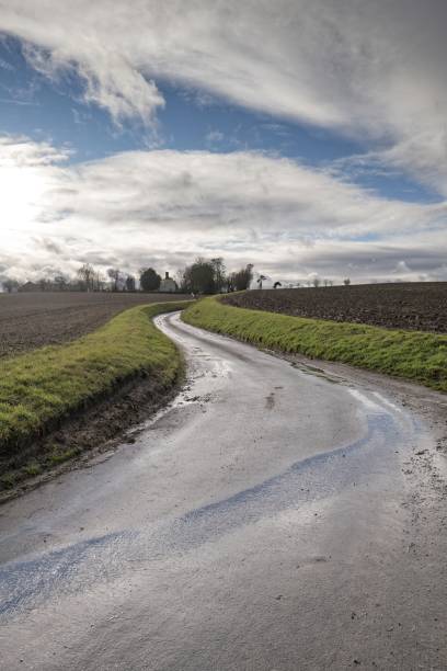 istock English country lane. 1196712940