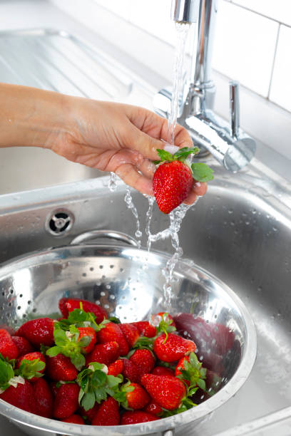 mycie truskawek - washing fruit preparing food strawberry zdjęcia i obrazy z banku zdjęć