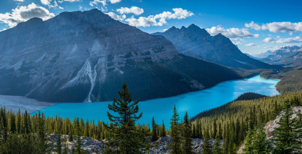istock Gorgeous Peyto Lake Panorama 1196716796