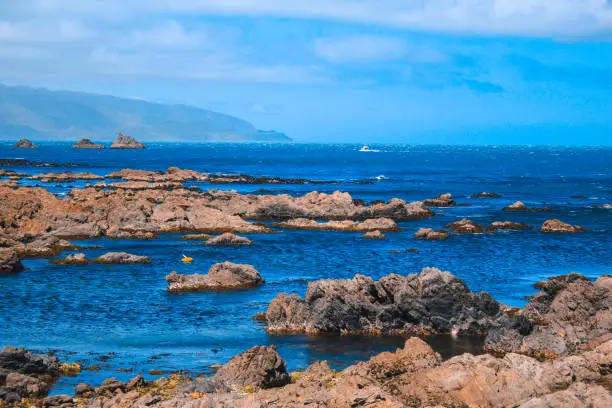 Photo of Beautiful coastline at Owhiro Bay in Wellington, North Island, New Zealand