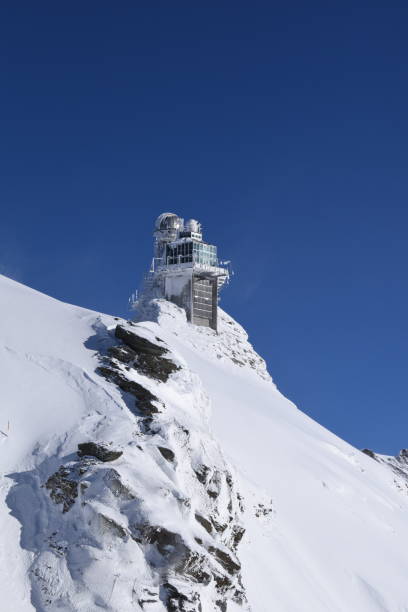 istock Sphinx on top of the Alps 1196721268