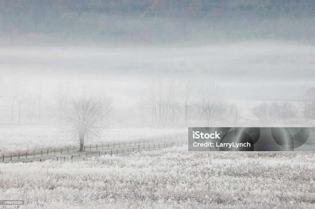 Frosty mattina a Cades Cove, Parco Nazionale Great Smoky Mountains - Foto stock royalty-free di Inverno