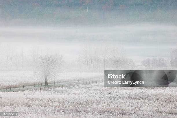 Frosty Mattina A Cades Cove Parco Nazionale Great Smoky Mountains - Fotografie stock e altre immagini di Inverno