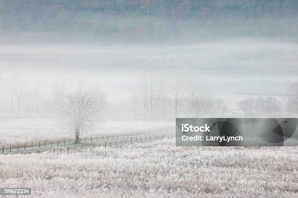 Mroźny Poranek W Zatoczka Chamów Park Narodowy Great Smoky Mountains - zdjęcia stockowe i więcej obrazów Zima