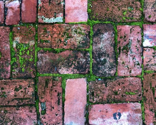 istock Green moss and red brick pavers - Color Landscape Format 1196722503