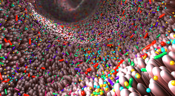istock Different germs in the human intestines called microbiome - 3d illustration 1196723259