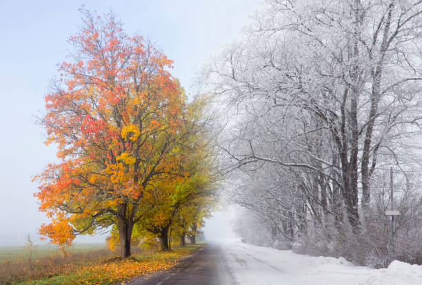 photo composite of two images, autumn turning in to winter concept. on left colorful foliage on tree, autumn leaves under it and on right is snow blizzard and icy road. weather concept. - avenue tree imagens e fotografias de stock