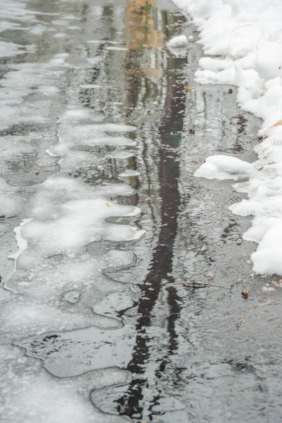 istock Reflection of trees on a wet road 1196725734