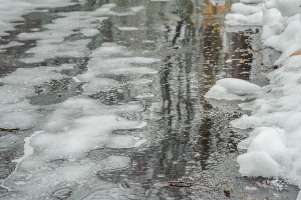 Reflection of trees on a wet road among a snowy forest