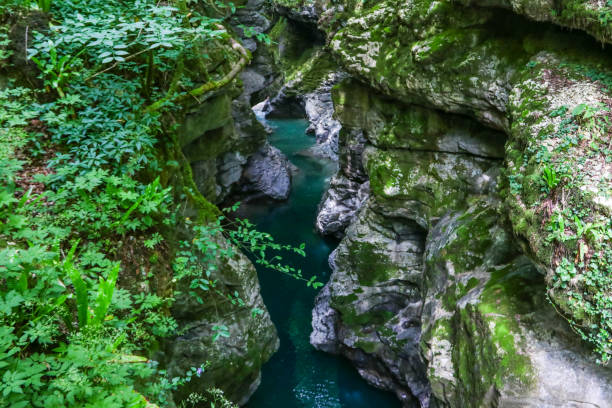 istock Martvili canyon in Georgia 1196726720