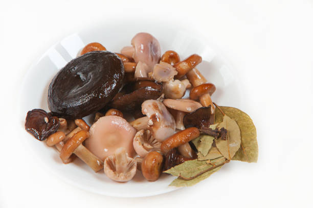 beautiful cap boletus growing in the  isolated on white