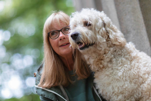 istock Woman with a labradoodle outdoors in a park 1196727453