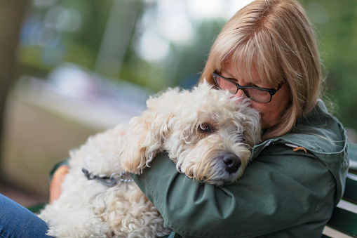 A woman sitting on a park bench and embracing her dog.