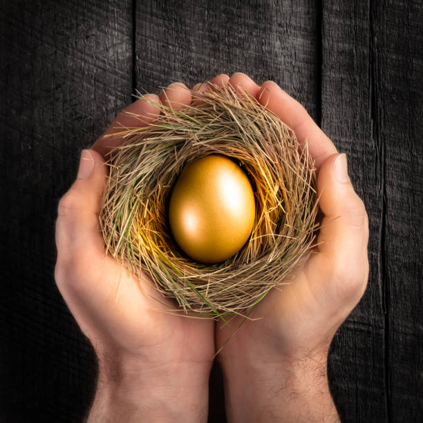 istock Protecting Hands Holding Golden Nest Egg 1196728540