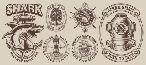 Vector illustration of Set of vintage nautical designs with a shark