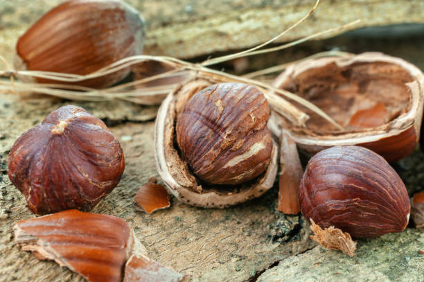 istock Hazelnut on wooden background 1196733001