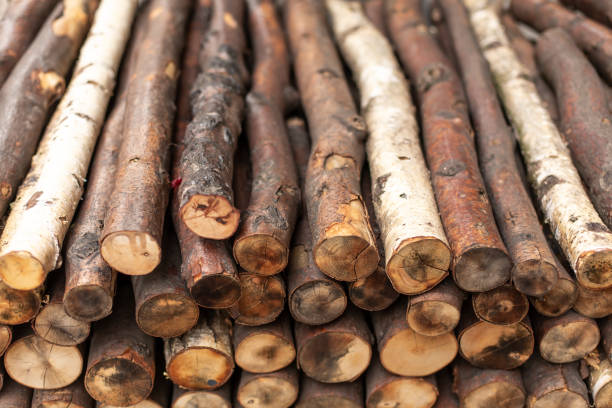 istock Chopped firewood logs in rows. Wood texture 1196733119