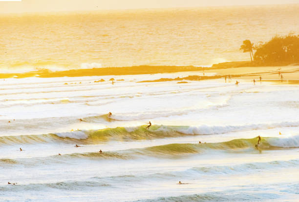 Summer days at the beach with sunrise colours at Umina Beach on the Central Coast, NSW, Australia.