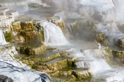 Close up of water cascading down travertine terraces at Canary Spring, Mammoth Hot Springs, Yellowstone National Park, Wyoming, USA. Terraces composed of travertine (limestone) deposited from hydrothermal waters. Colors produced by thermophiles, algae and minerals.