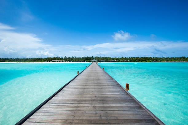 istock beach and tropical sea . nature background 1196736663
