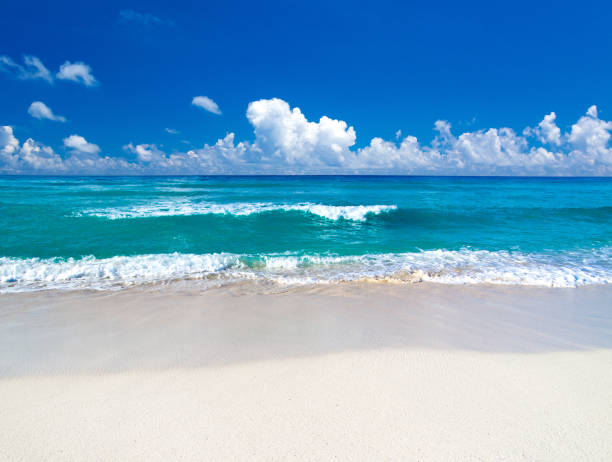 istock tropical Maldives island with white sandy beach and sea 1196736698