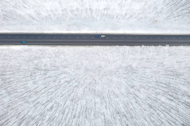 istock beautiful winter forest and the road 1196736735