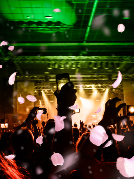 istock Concert crowd in front of a live stage 1196743936