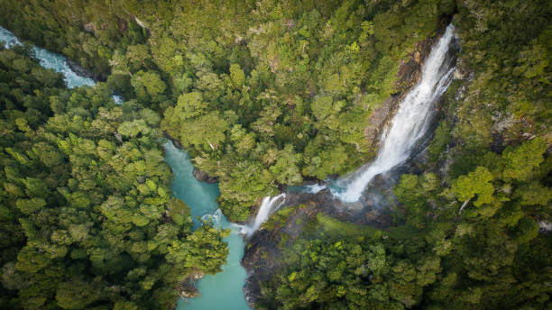 istock mountains of chili 1196744041