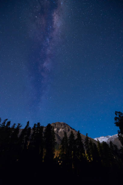 istock mountains of chili 1196744753