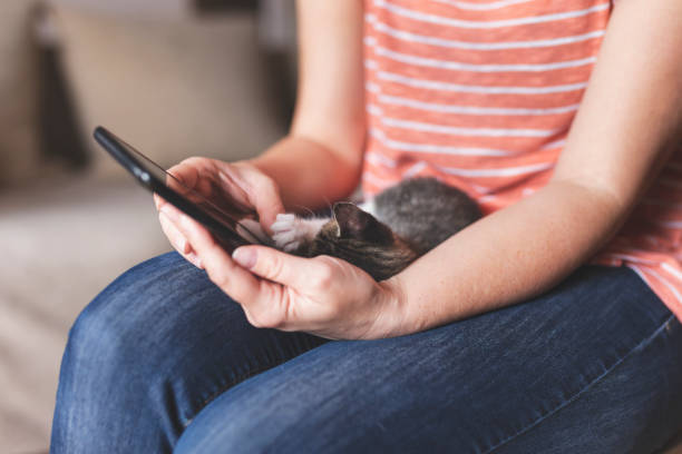 istock Woman using a smartphone and holding kitten 1196747372