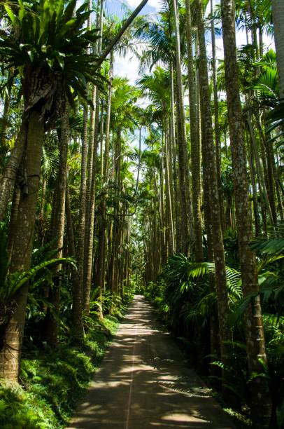 A walkway in Okinawa, Japan