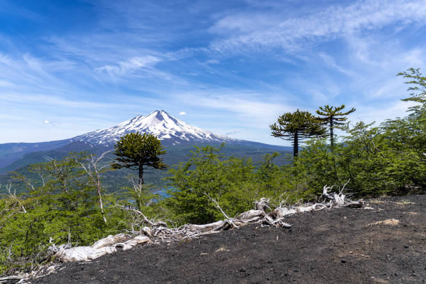 istock Elevated view of Llaima Volcano in Conguillio National Park 1196752964
