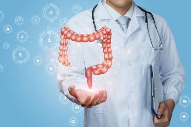 Doctor shows the colon of a person . Doctor shows the colon of a person on a blue background. rectum stock pictures, royalty-free photos & images