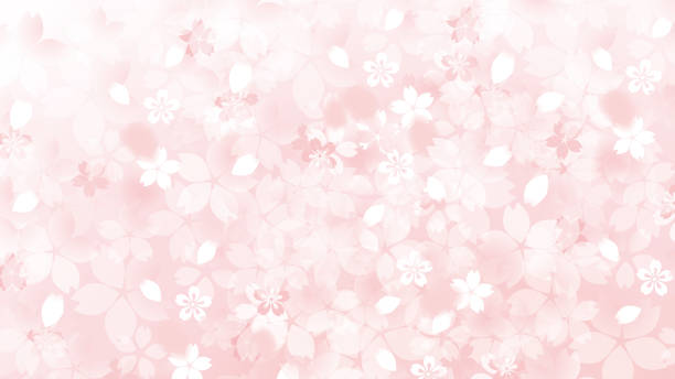 日本の桜の美しい桜の背景画像 - 桜 花びら点のイラスト素材／クリップアート素材／マンガ素材／アイコン素材