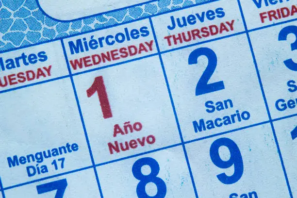 Calendar on the new year january 1st with lettering on spanish (año nuevo)