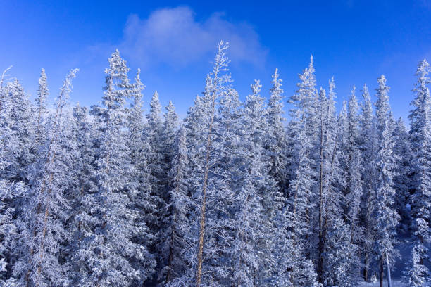 istock Ski Slopes and Chairlift Views 1196761233