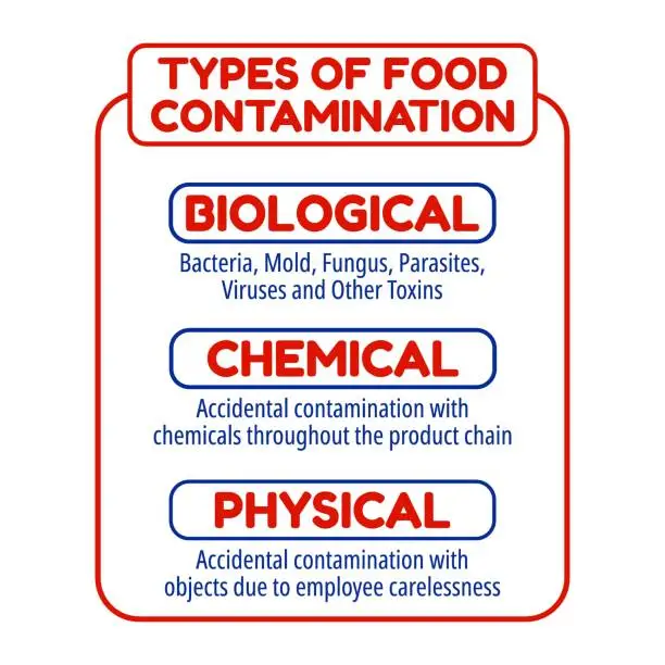 Vector illustration of 253 Types of food contamination. Food safety display boards