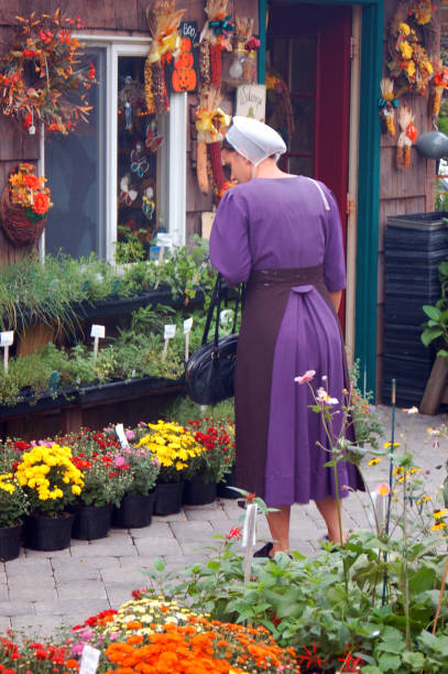 花の買い物をするメノンアイトの女性 - single flower flower autumn pumpkin ストックフォトと画像