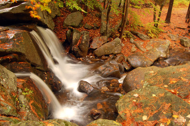 istock Autumn waterfall in the woods 1196765296