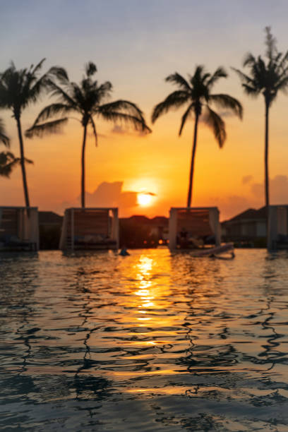 istock Orange Tropical sunset with swimming pool water reflection and palm trees on background, selective focus , vertical composition 1196771214