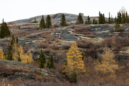 Country scenery in Kuujjuaq, Nunavik, with mountains and trees
