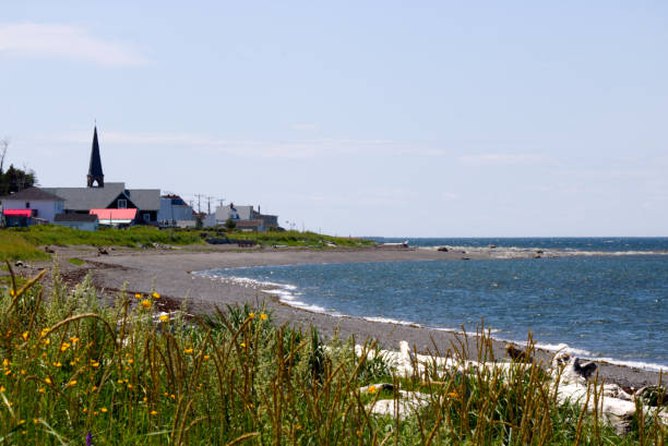 istock Sea shore in Gaspesie on a sunny day 1196772076