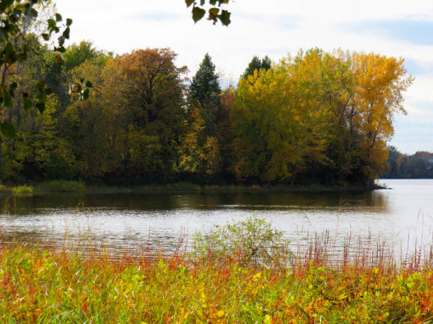 istock Trees with the color of Fall by the river in Laval, Quebec 1196772171
