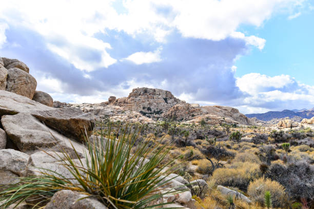 istock Joshua Tree - Rock Formation Landscapes 1196778259