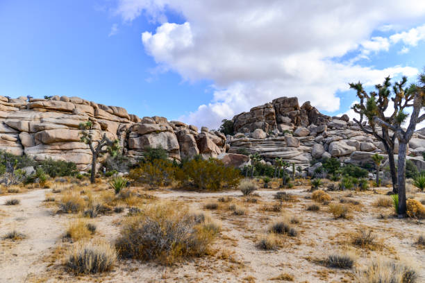 istock Joshua Tree - Rock Formation Landscapes 1196778271