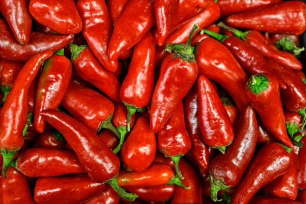 istock Group of hot red chili pepper, (Capsicum annuum) background. 1196781830